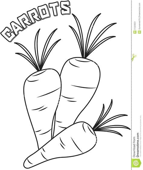 Carrots Drawing at GetDrawings | Free download