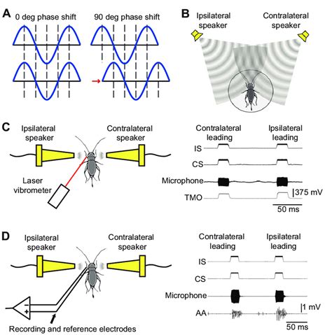 Schematics Of Experimental Methods A Diagram Of A Deg Phase Shift