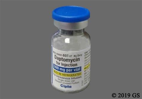 What Is Daptomycin Goodrx