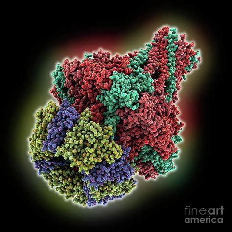 Cyanophage Pam1 Portal Adaptor Complex Photograph By Laguna Design