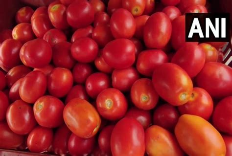 Tomato Price Rise नह थम रह टमटर क भव म तज इस रजय म