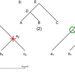 Goc Procedure A Gene Tree G Reconciled With Species Tree S