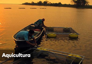 Embrapa Agrivisum Sistema De An Lises Das Cadeias Produtivas Da