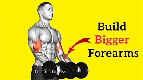 7 Best Dumbbell Brachioradialis Exercises To Build Bigger Forearms