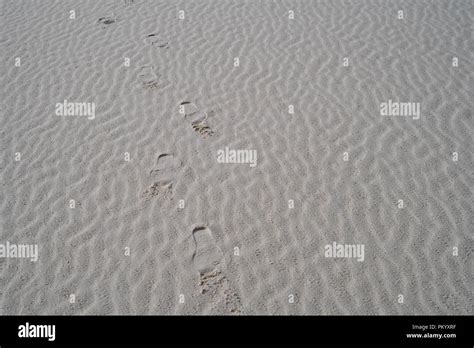 Footprints In Sand Dunes Leading Hi Res Stock Photography And Images