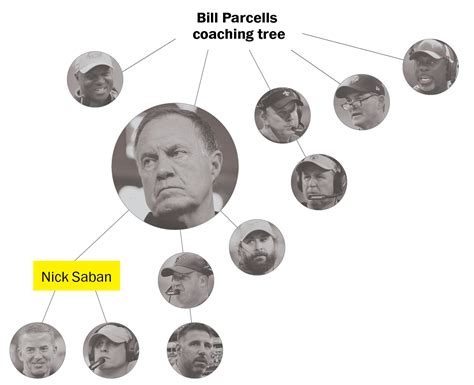 Nfl Coaching Trees Mapping The Roots Influences Of Every Active Head