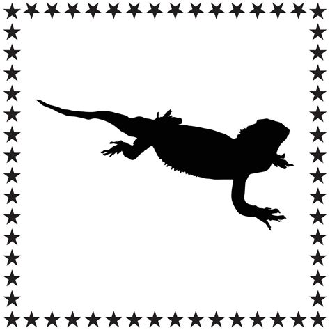 Lizard Silhouette Illustration Lizard Silhouette Lizard Silhouette