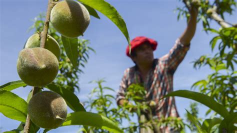 Con Reclamos Y Críticas Al Gobierno Nacional Productores De Córdoba Se