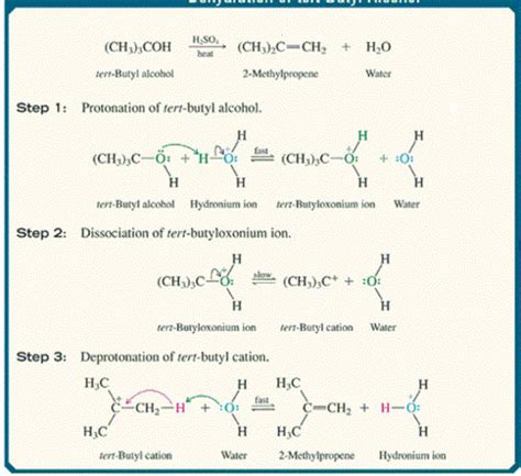 Chem Chapter 7 Flashcards Quizlet