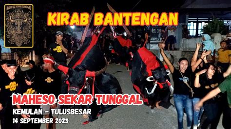 Kirab Maheso Sekar Tunggal Kemulan Tulusbesar Youtube