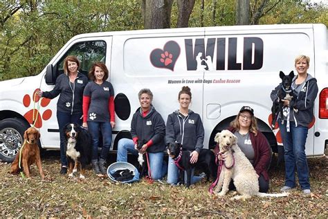 Wild Canine Rescue - Adopting a Dog From WILD, Animal Shelter