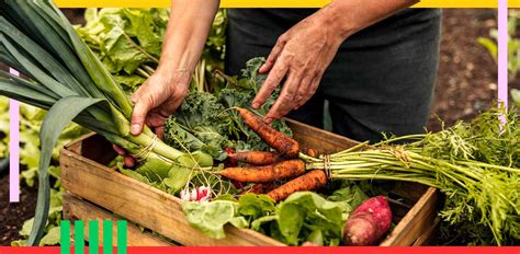 El Mundo De Las Mujeres En La Cocina Una Historia Con No Pocos