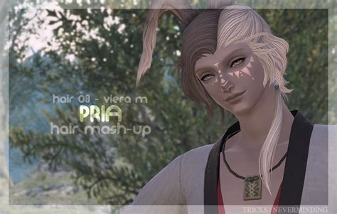 Pria The Glamour Dresser Final Fantasy Xiv Mods And More