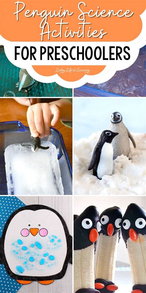 Penguin Science Activities For Preschoolers