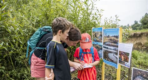 Sur les chemins de l eau et de la biodiversité 4 balades énigmes à