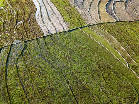 Terraced Rice Fields By Stocksy Contributor Bisual Studio Stocksy