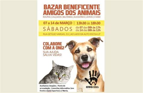 Ong Amigos Dos Animais Promove Bazar Beneficente Éder Luiz Notícias