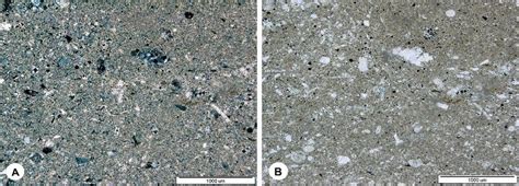 (A) Rocky background of the opoka-rock, with visible filling of rocky ...