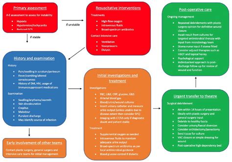 Fourniers Gangrene A Review Of Predictive Scoring Systems And