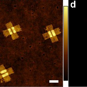 DNA PAINT And AFM Imaging Of DNA Origami On Plasma Processed Cover