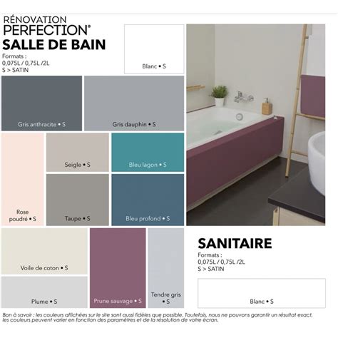 Peinture Salle De Bain V R Novation Perfection Gris Anthracite Pas Cher