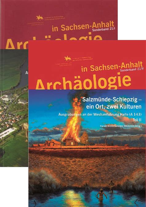 Paket Archäologie Sachsen Anhalt Sonderband 21 Salzmünde Schiepzig