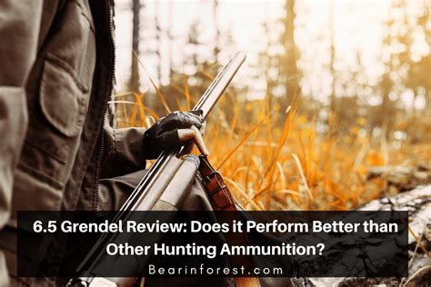 6 5 Grendel Review Does It Perform Better Than Other Hunting Ammunition Bearinforest