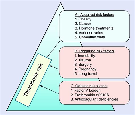 Epidemiological Factors Associated With Thrombosis Risk Download