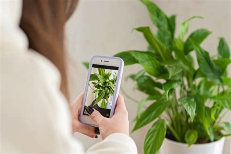 5 Apps Para El Cuidado De Las Plantas Que Debes Conocer La Huertina