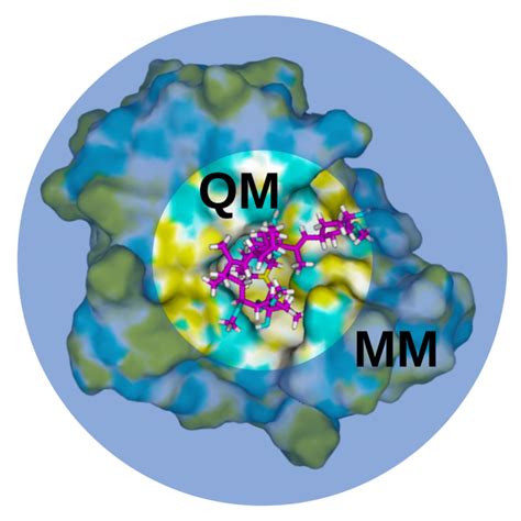 Qm Mm Oniom Quantumbio Inc