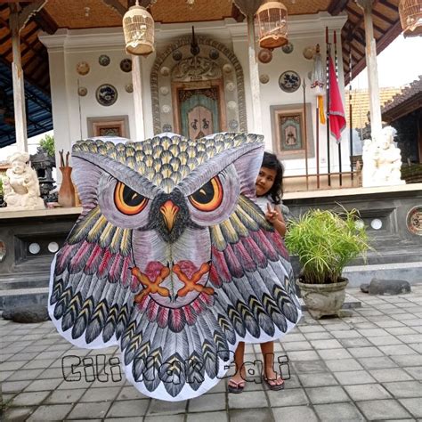 Jual Layangan Bali Murah Celepuk Burung Hantu Lukis Meter Shopee