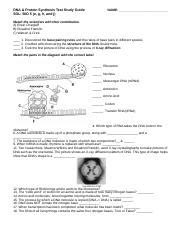 Protein Synthesis Study Guide Dna Protein Synthesis Test Study