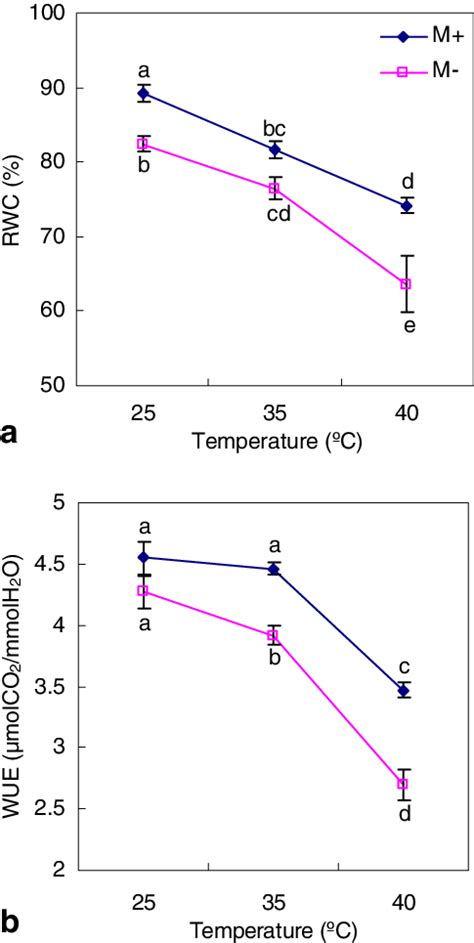 Relative Water Content Rwc A Water Use Efficiency Wue B In Maize