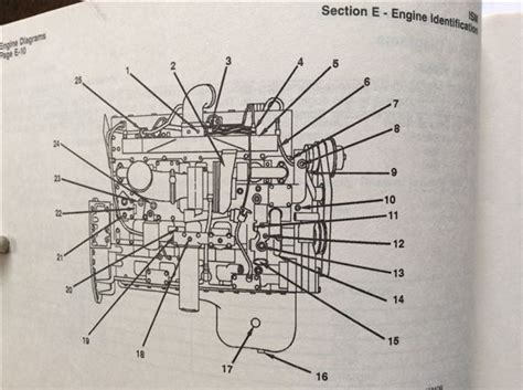 International Belt Diagram