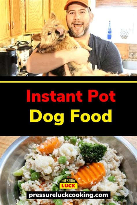 How Much Chicken And Rice Should You Feed Your Dog