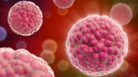 Daily News Health Hpv Virus Linked To A Third Of Throat Cancers