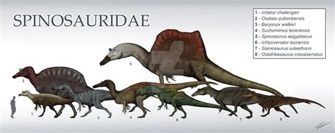 Spinosauridae size chart by DefinetilyNotPedro | Prehistoric animals ...