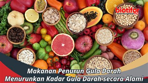 Makanan Penurun Gula Darah Menurunkan Kadar Gula Darah Biotifor