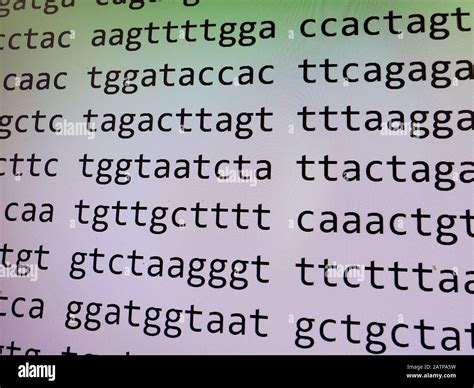 Secuencia De Pasos Fotos E Im Genes De Stock Alamy