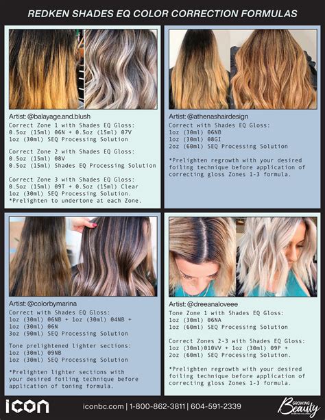 REDKEN SHADES EQ COLOR CORRECTION FORMULAS Artist Balayage And Blush