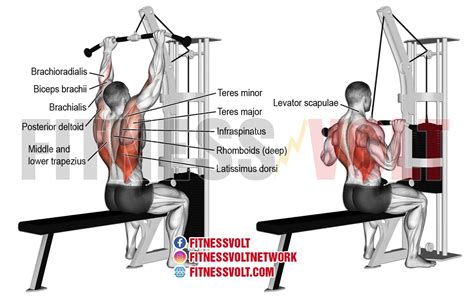 Women's Relationship blogs: Back Exercises Cable Pulldown