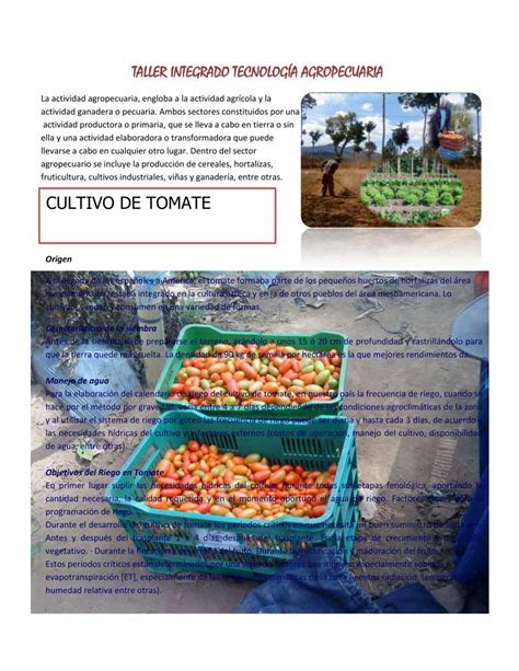 Pdf Generalidades Sobre Cultivo De Tomate Dokumen Tips