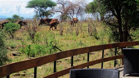 Tarangire Sopa Lodge Features