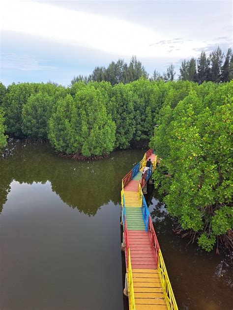 10 Tempat Wisata Hutan Mangrove Di Pulau Sumatera KATA OMED