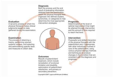 L5 Conceptual Framework For Clinical Practice Flashcards Quizlet