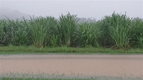 In Photos Cairns Region Under A Monsoon Deluge The Cairns Post