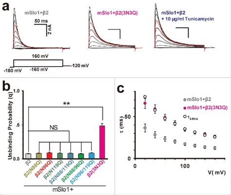 The Glycosylation Of The Extracellular Loop Of Subunits Diversifies