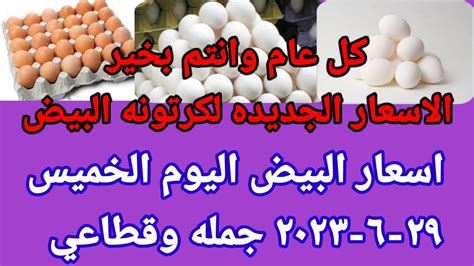 سعر البيض اسعار البيض اليوم الخميس ٢٩ ٦ ٢٠٢٣ جمله وقطاعي فى مصر شبكة