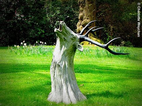 10+ Tree Stump Art Ideas