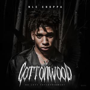 NLE Choppa - Cottonwood (Deluxe) Lyrics and Tracklist | Genius